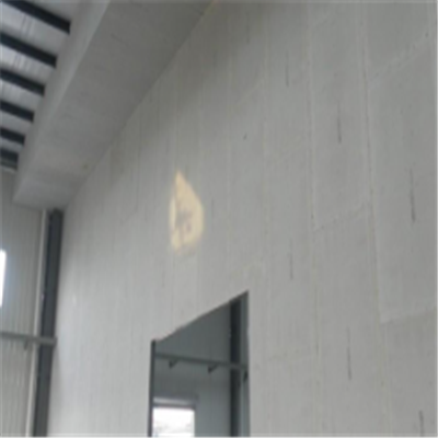 北塘新型建筑材料掺多种工业废渣的ALC|ACC|FPS模块板材轻质隔墙板